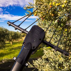 Peignes de récolte pour olives à batterie