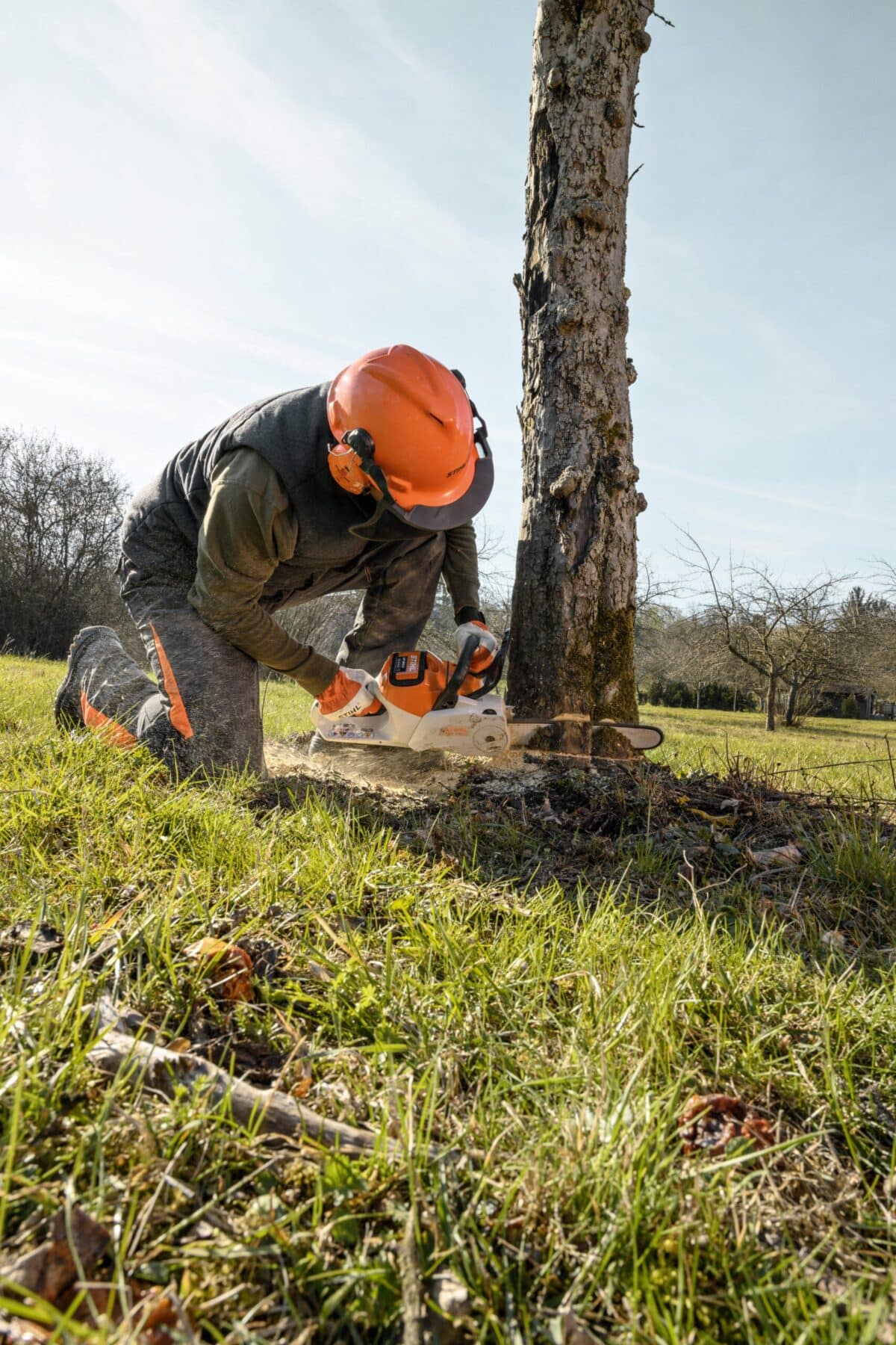 Tronçonneuse à batterie - MSA 200 C-B STIHL - sans fil