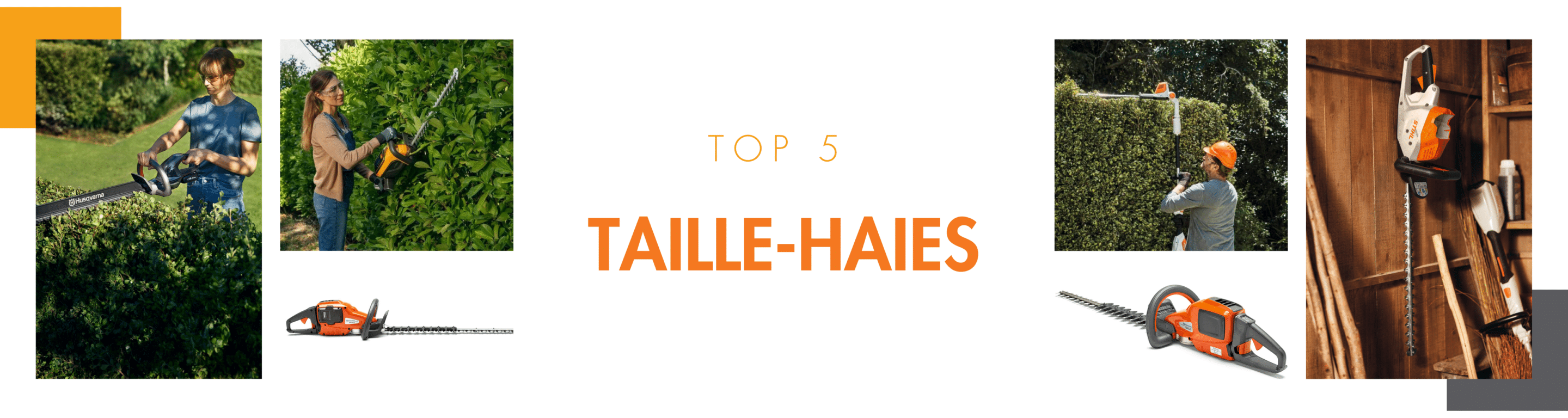 TOP 5 - TAILLE-HAIES - Matériel à Batterie