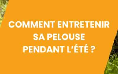 LA TONTE DE LA PELOUSE EN ÉTÉ : PRÉCAUTIONS ET BONNES PRATIQUES