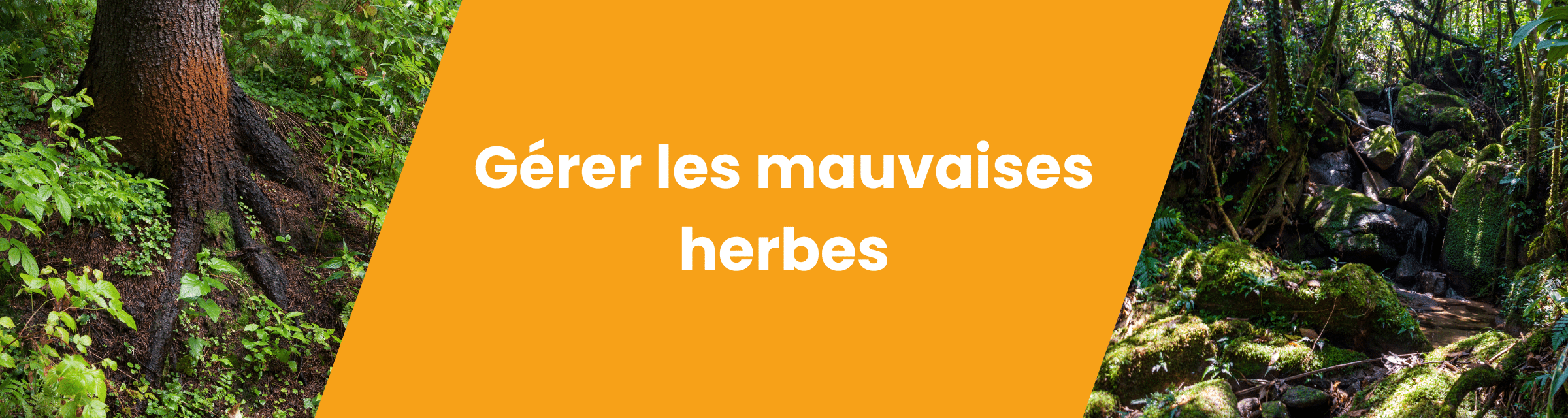 Gérer les mauvaises herbes