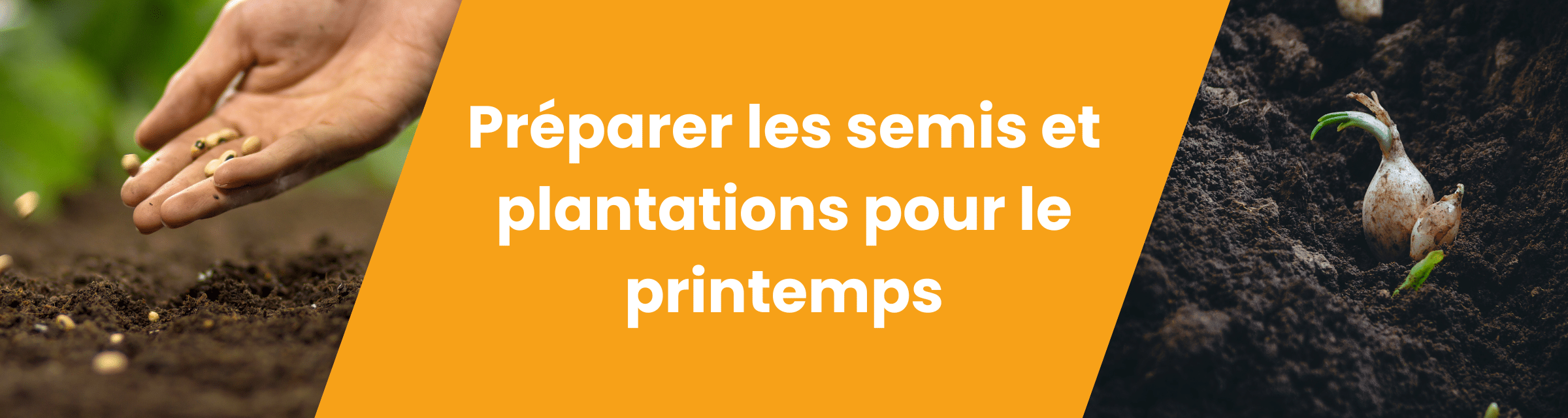 Préparer les semis et plantations pour le printemps