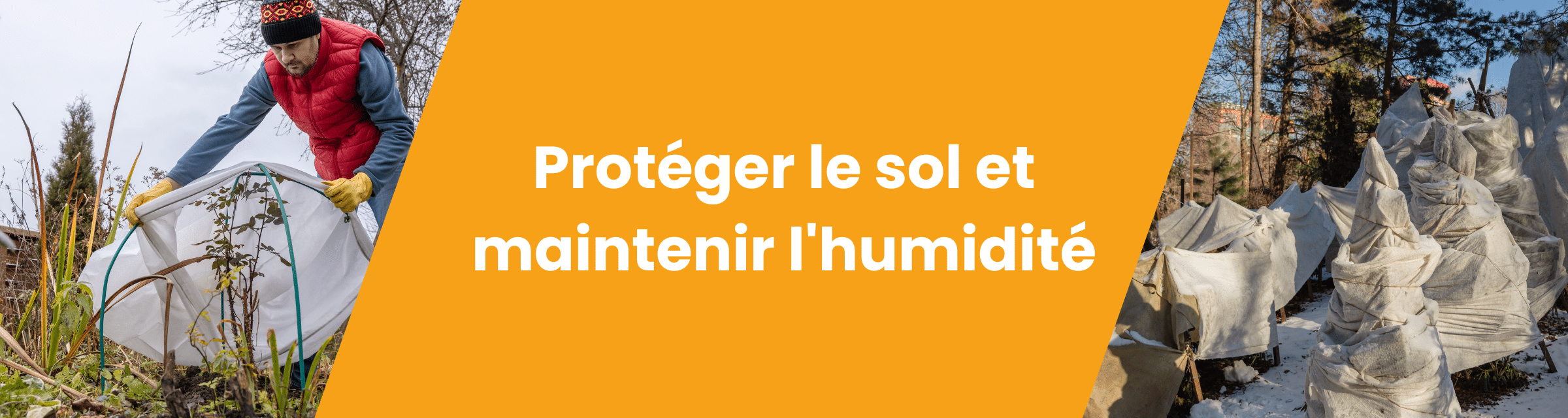 Protéger le sol et maintenir l'humidité