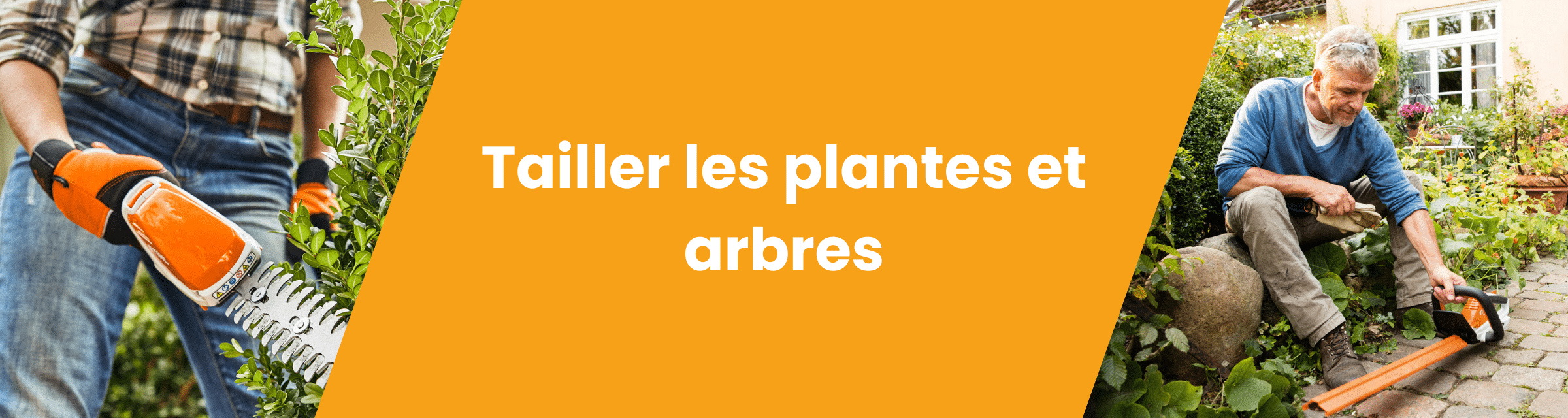 Tailler les plantes et arbres